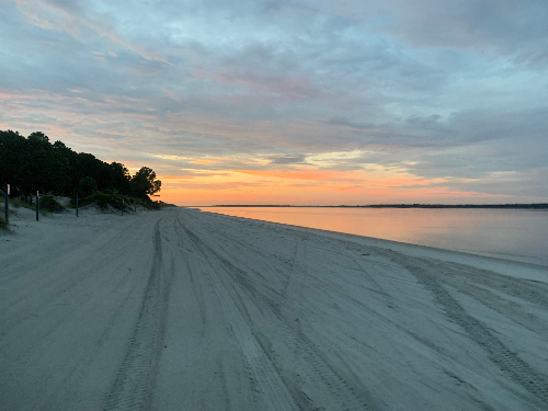 AI State Park 2